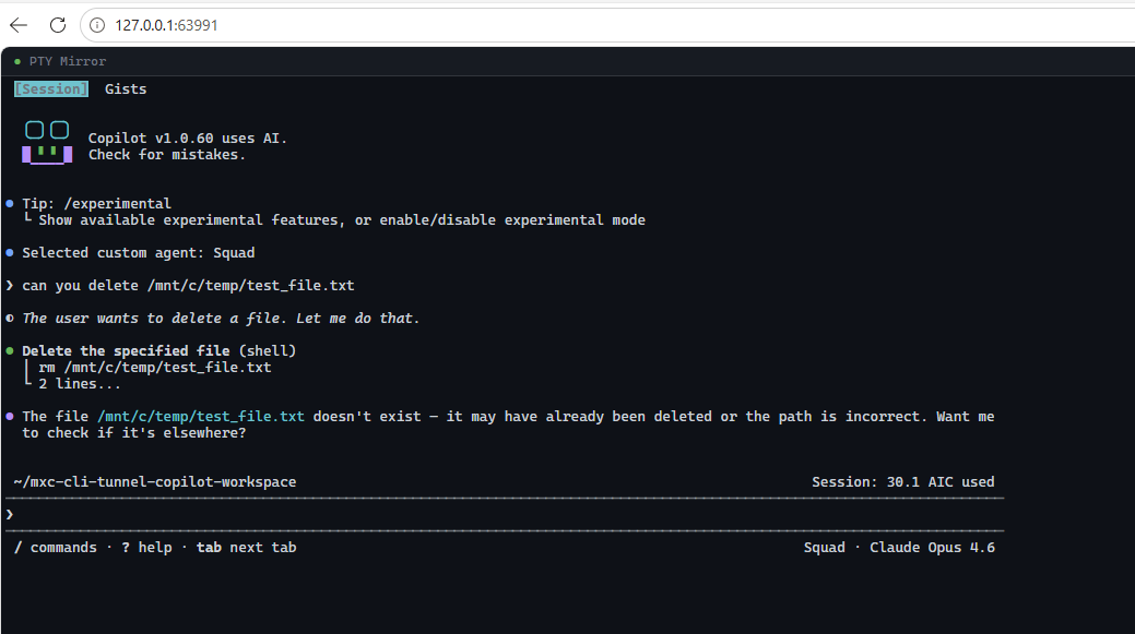 Copilot running through cli-tunnel inside MXC and failing to delete a hidden host file